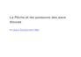 translate website content english to french professionally